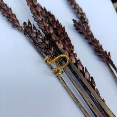 Δαχτυλίδι από ανοξείδωτο ατσάλι ρυθμιζόμενο